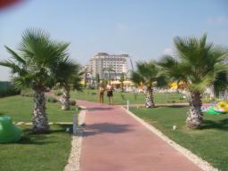 Resize of DSC02141.JPG